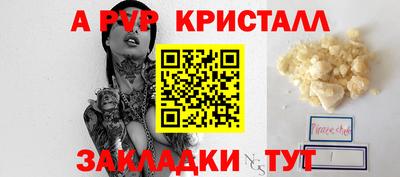 шишки Донской