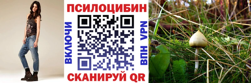 OMG вход  Павловский Посад  Псилоцибиновые грибы MAGIC MUSHROOMS 
